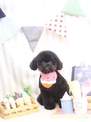 20250515レアちゃん